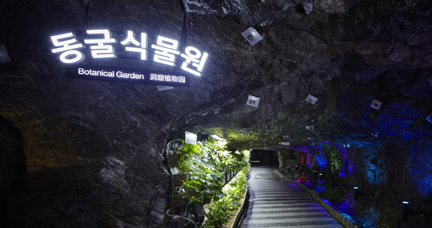 동굴식물원